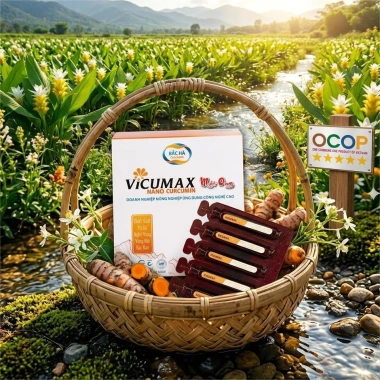 Vicumax Nano Curcumin Mật Ong Bắc Hà 15 tuýp 8,5ml - OCOP 5 sao, 306.000đ