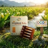 Vicumax Nano Curcumin Mật Ong Bắc Hà 15 tuýp 8,5ml - OCOP 5 sao, 306.000đ 3