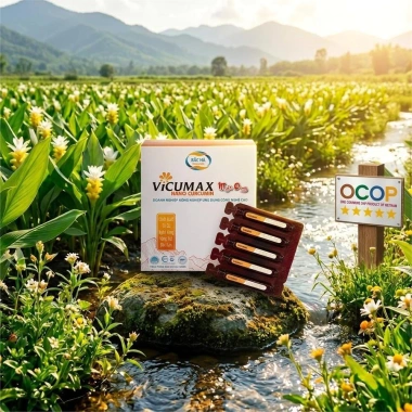 Vicumax Nano Curcumin Mật Ong Bắc Hà 15 tuýp 8,5ml - OCOP 5 sao, 306.000đ