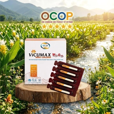 Vicumax Nano Curcumin Mật Ong Bắc Hà 15 tuýp 8,5ml - OCOP 5 sao, 306.000đ 5 Vicumax Nano Curcumin Mật Ong Bắc Hà 15 tuýp 8,5ml - OCOP 5 sao, 306.000đ 5