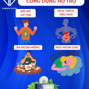 Viên Ăn Ngon GG hỗ trợ ăn ngon, ngủ ngon, cải thiện tiêu hoá, tăng cân người gầy - Giá 935.000 VND 4
