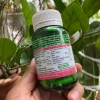 Viên Collagen Thuần Chay Naturopathica 60 Viên - Da Khỏe Đẹp, Dưỡng 100% Thực Vật, Giá Ưu Đãi 669k 2
