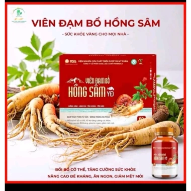 Viên Đạm Bổ Hồng Sâm YĐ 60 Viên - Ngủ Ngon, Tăng Sức Khỏe, Giá 249.000 VND