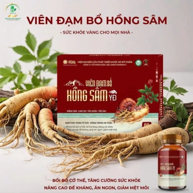 Viên Đạm Bổ Hồng Sâm YD 60V - Tăng Đề Kháng, Bổ Sức Khỏe, Ăn Ngon, Giá 278k