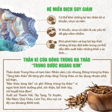Viên Đông Trùng Hạ Thảo Thiên Sư TPBVSK 100 Viên - Tăng Sức Đề Kháng, Giá Ưu Đãi 919.999đ