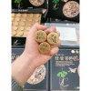 Viên Hoàn Hồng Sâm Wild Ginseng Gong Bon Dan Hàn Quốc 30 viên - 980k 9