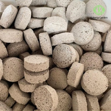 Viên nấm rễ Mycorrhiza Plus Asir-fruit Tây Ban Nha – Vi sinh, dinh dưỡng cây trồng, chỉ 99.000₫ 2 Viên nấm rễ Mycorrhiza Plus Asir-fruit Tây Ban Nha – Vi sinh, dinh dưỡng cây trồng, chỉ 99.000₫ 2
