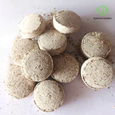 Viên nấm rễ Mycorrhiza Plus Asir-fruit Tây Ban Nha – Vi sinh, dinh dưỡng cây trồng, chỉ 99.000₫ 3 Viên nấm rễ Mycorrhiza Plus Asir-fruit Tây Ban Nha – Vi sinh, dinh dưỡng cây trồng, chỉ 99.000₫ 3