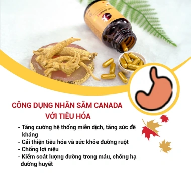 Viên Nang Nhân Sâm CND Ginseng Gold 60 Viên - Tăng Đề Kháng, Giá 588.800₫