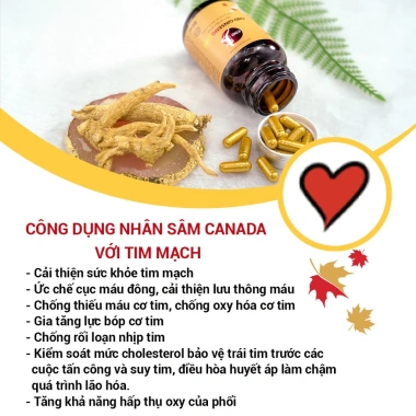 Viên Nang Nhân Sâm CND Ginseng Gold 60 Viên - Tăng Đề Kháng, Giá 588.800₫