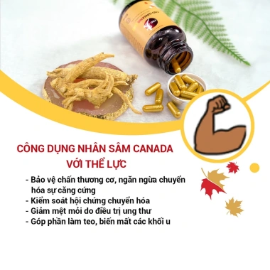 Viên Nang Nhân Sâm CND Ginseng Gold 60 Viên - Tăng Đề Kháng, Giá 588.800₫ 7 Viên Nang Nhân Sâm CND Ginseng Gold 60 Viên - Tăng Đề Kháng, Giá 588.800₫ 7