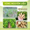 Viên Nghệ Trắng Tẩm Mật Ong QNA Farm - Nghệ Rừng 100% Tự Nhiên, Giàu Curcumin, Hũ 150gr - Giảm còn 140.000 VND 7