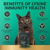 Viên nhai VetriScience Lysine Plus Hương Gà 120 viên - Bổ Sung Miễn Dịch, Tăng Kháng, 569.000đ 5