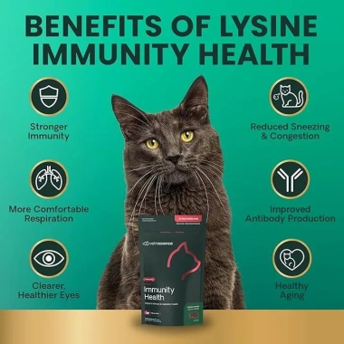 Viên nhai VetriScience Lysine Plus Hương Gà 120 viên - Bổ Sung Miễn Dịch, Tăng Kháng, 569.000đ 5
