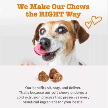 Viên nhai Vitamin Salmon Oil ZESTY PAWS 90 viên cho chó - tiêu hoá, miễn dịch, da lông, tim mạch