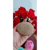 Viên sỏi đá cuội thô - Giá chỉ 9.000đ, chất lượng tự nhiên, giảm giá đặc biệt