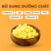 Viên Tinh Nghệ Mật Ong Sữa Chúa 500gr Nguyên Chất Giảm Đau & Viêm Loét Dạ Dày, Đại Tràng 4