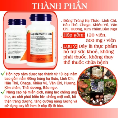 Viên uống 10 nấm quý Đông trùng, Chaga, Linh chi 120 viên - Tăng miễn dịch, 195k