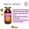 Viên Uống Collagen Spring Leaf Inner Beauty 6-in-1 Úc 90V - Chống Lão Hóa, Da Đẹp, Giá 495.000 VND 5