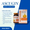 Viên Uống Dạ Dày ASCUGIN Nano Curcumin 60 Vên - Giá 690k, Hỗ Trợ Trào Ngược 7