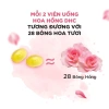 Viên Uống DHC Bulgarian Rose 60 Viên: Hương Hoa Hồng Thơm Cơ Thể, Dưỡng Da 30 Ngày, Giá 495k 7