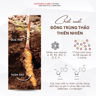 Viên uống Đông trùng hạ thảo Alltimes - Tăng đề kháng, bồi bổ sức khỏe, giá 900k 2