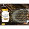 Viên uống Đông Trùng Hạ Thảo Warnke Cordyceps 500mg 120 viên - 650k, tăng đề kháng 2
