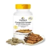 Viên uống Đông Trùng Hạ Thảo Warnke Cordyceps 500mg 120 viên - 650k, tăng đề kháng 4
