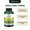 Viên Uống Nhân Sâm Ấn Độ Swanson Full Spectrum Ashwagandha 450mg - Giảm Căng Thẳng Lo Âu, Giá Ưu Đãi 309.000 VND