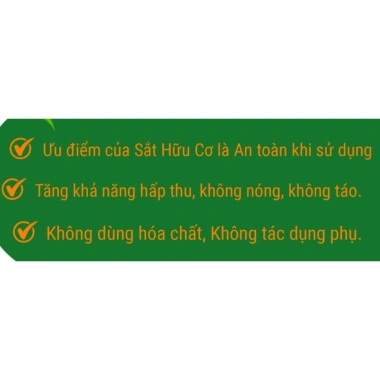 Viên uống Sắt Hữu Cơ Hemoglobin + Acid Folic - Tăng máu, giảm mệt mỏi, Giá chỉ 260k (Giảm từ 325k)