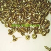 Vít 3x10mm VN 1 ký Vàng 7 màu - Chất lượng cao, độ bền cao, khớp chắc, Giá 89.000đ 2
