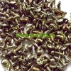 Vít 3x10mm VN 1 ký Vàng 7 màu - Chất lượng cao, độ bền cao, khớp chắc, Giá 89.000đ 4