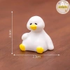 Vịt Trắng Nhỏ Dễ Thương - Đồ Trang Trí Bàn Làm Việc và Vườn, Phong Cảnh Micro, Giá Ưu Đãi 36k 11