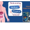 Vitatree Organ Fat Detox 60 Viên – Thải Độc Mỡ Nội Tạng, Giảm Mỡ, Giá 320.000₫ 4