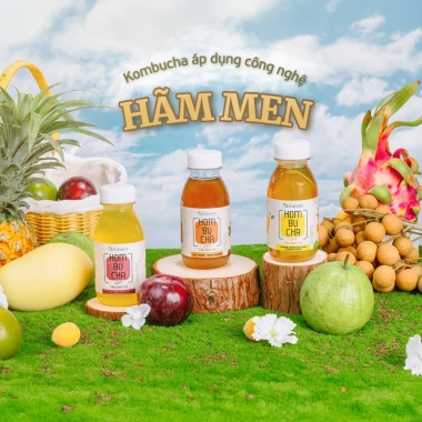 VKOMBUCHA LIGHT Trà Kombucha Hãm Men 24 chai - Giá ưu đãi 407.000đ - Probiotic nhẹ, hỗ trợ tiêu hoá 3