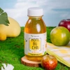 VKOMBUCHA LIGHT Trà Kombucha Hãm Men 24 chai - Giá ưu đãi 407.000đ - Probiotic nhẹ, hỗ trợ tiêu hoá 5