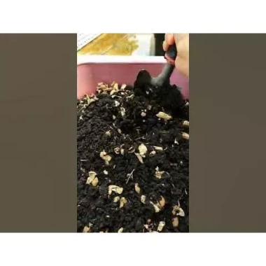 Vỏ đậu phộng 10Kg - Phân hữu cơ cho trồng cây, giá ưu đãi 86.240 VND 3