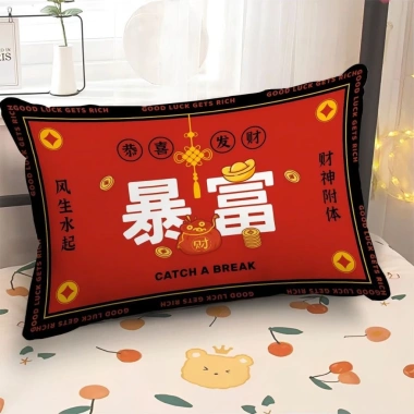 Vỏ gối chúc mừng năm mới 30×50,40×60,50×70 - Sofa sang trọng, giảm giá 17% 8