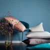Vỏ Gối Lụa Mulberry Cao Cấp - Ngăn Nếp Nhăn, Chống Lão Hóa Da, Ngăn Xơ Rối Tóc 4