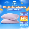 Vỏ Gối Lụa Silk Ice Chagota 48x68cm Mềm Mịn, Chống Phai, Không Xù Lông, Giá 90.000₫