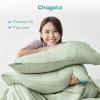 Vỏ Gối Lụa Silk Ice Chagota 48x68cm Mềm Mịn, Chống Phai, Không Xù Lông, Giá 90.000₫ 3