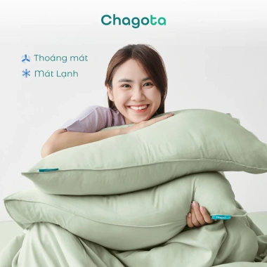 Vỏ Gối Lụa Silk Ice Chagota 48x68cm Mềm Mịn, Chống Phai, Không Xù Lông, Giá 90.000₫