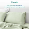 Vỏ Gối Lụa Silk Ice Chagota 48x68cm Mềm Mịn, Chống Phai, Không Xù Lông, Giá 90.000₫ 4