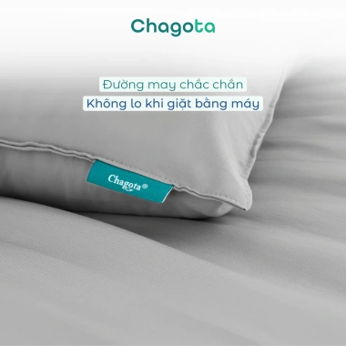 Vỏ Gối Lụa Silk Ice Chagota 48x68cm Mềm Mịn, Chống Phai, Không Xù Lông, Giá 90.000₫