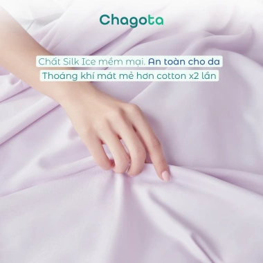 Vỏ Gối Lụa Silk Ice Chagota 48x68cm Mềm Mịn, Chống Phai, Không Xù Lông, Giá 90.000₫