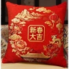 Vỏ gối may mắn Happinese 65x65 - Trang trí sofa năm mới, giảm giá chỉ 43.439₫ 5