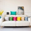 Vỏ gối sofa nhung 40x55cm - Gối tựa chữ nhật, decor phòng khách và văn phòng, giảm còn 9.000đ