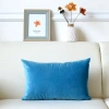 Vỏ gối sofa nhung 40x55cm - Gối tựa chữ nhật, decor phòng khách và văn phòng, giảm còn 9.000đ 8