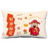 Vỏ gối thắt lưng God of Wealth hình chữ nhật sofa năm mới màu đỏ 60x80 cm giảm giá 5