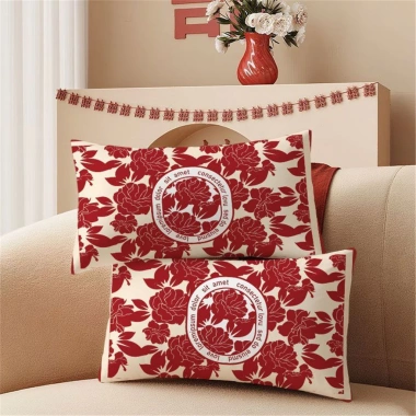 Vỏ gối thắt lưng PC 60×80.5 cm - Vỏ đệm chữ nhật sofa năm mới, giảm giá 52.364₫